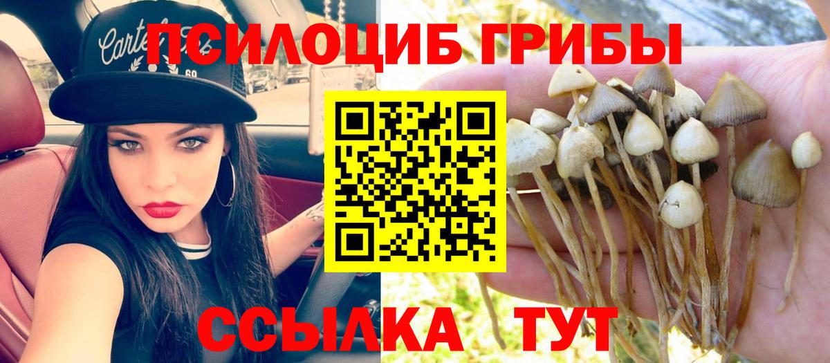 Галлюциногенные грибы Cubensis  Вход с VPN  Псилоцибиновые грибы GOLDEN TEACHER  Кириши 